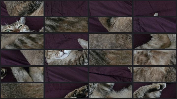 Puzzle AR media