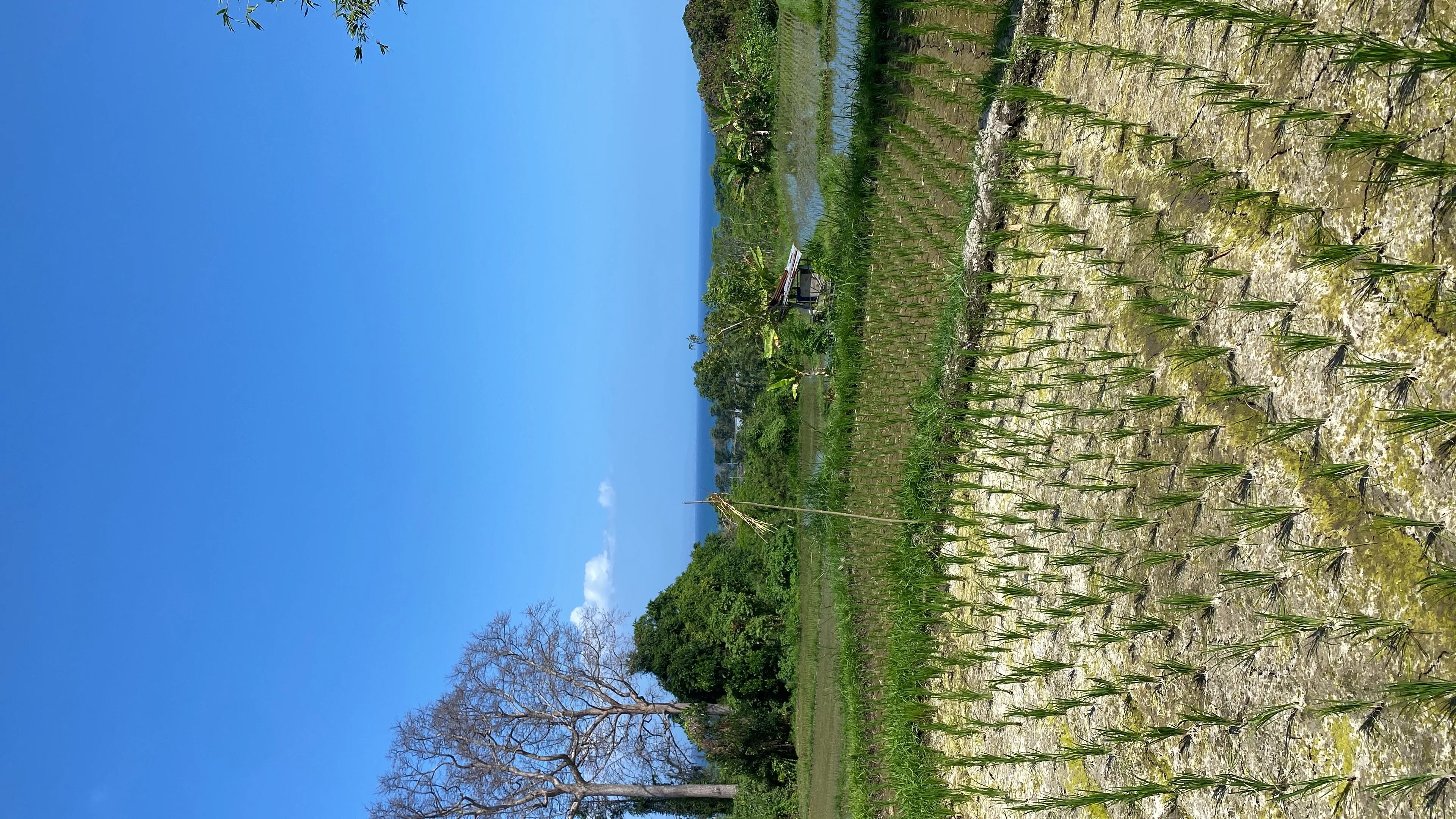 Land for sale in kemenuh Area , 90 are