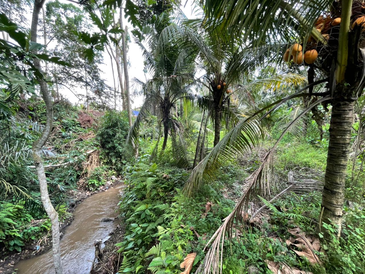 Riverfront Land for Sale in Singakerta, Ubud: 760 sqm with Yellow Zone