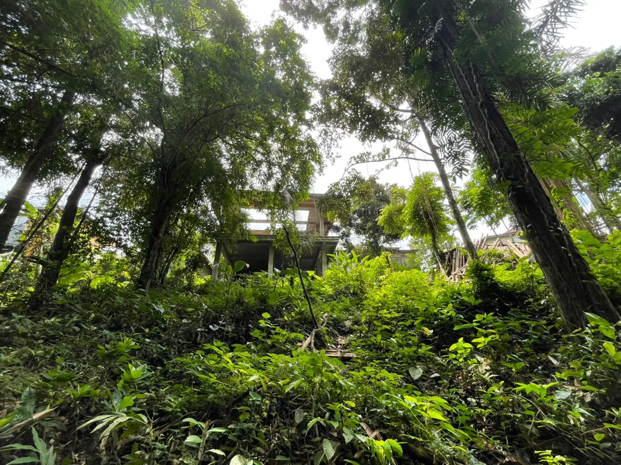 Riverfront Leasehold Land in Central Ubud: Sunset-Facing Investment Opportunity