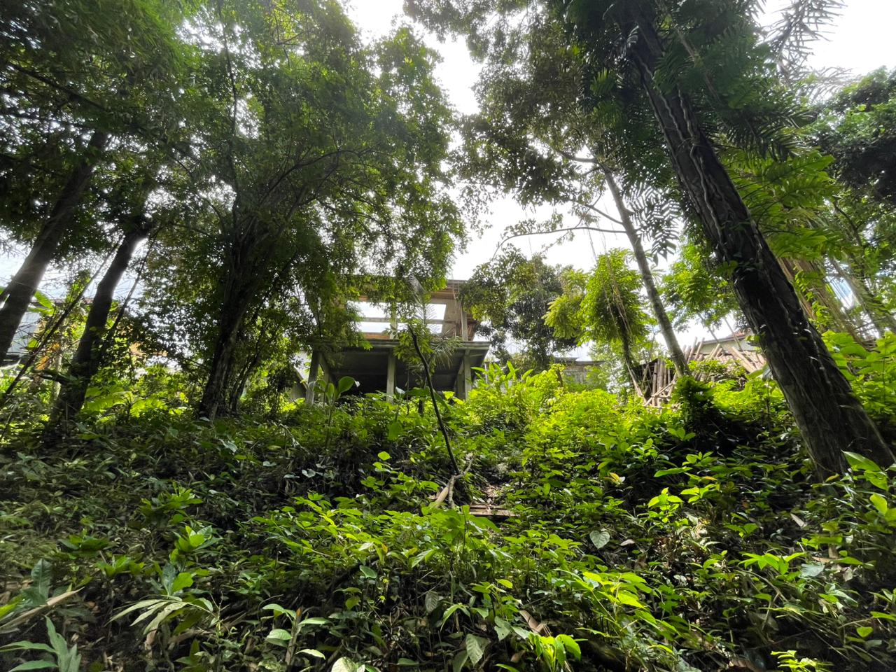 Riverfront Leasehold Land in Central Ubud: Sunset-Facing Investment Opportunity