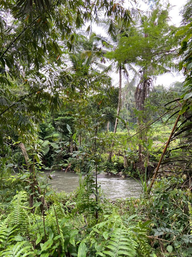 Land for leasehold .