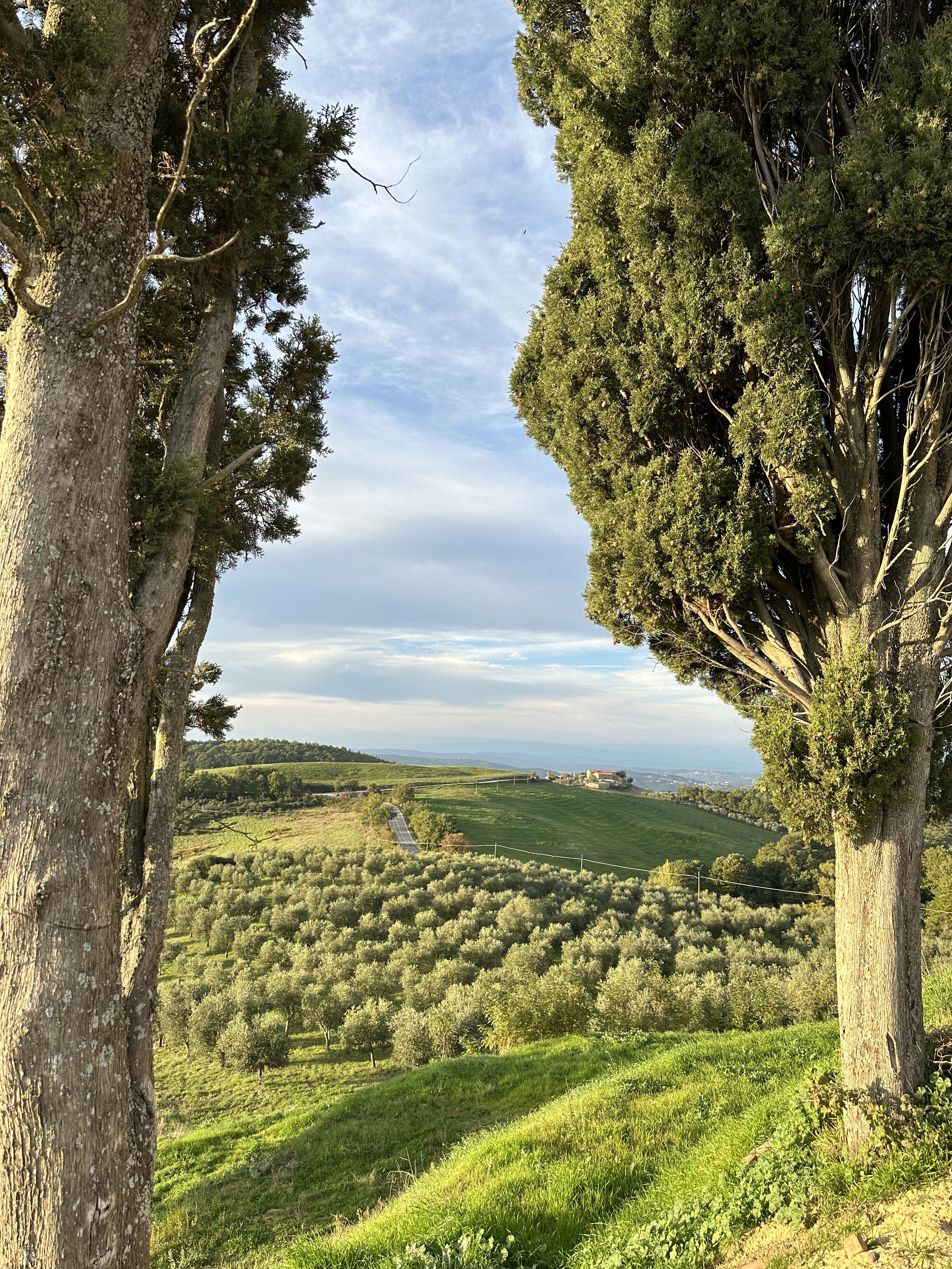 LUXURY RESIDENCE IN TUSCANY