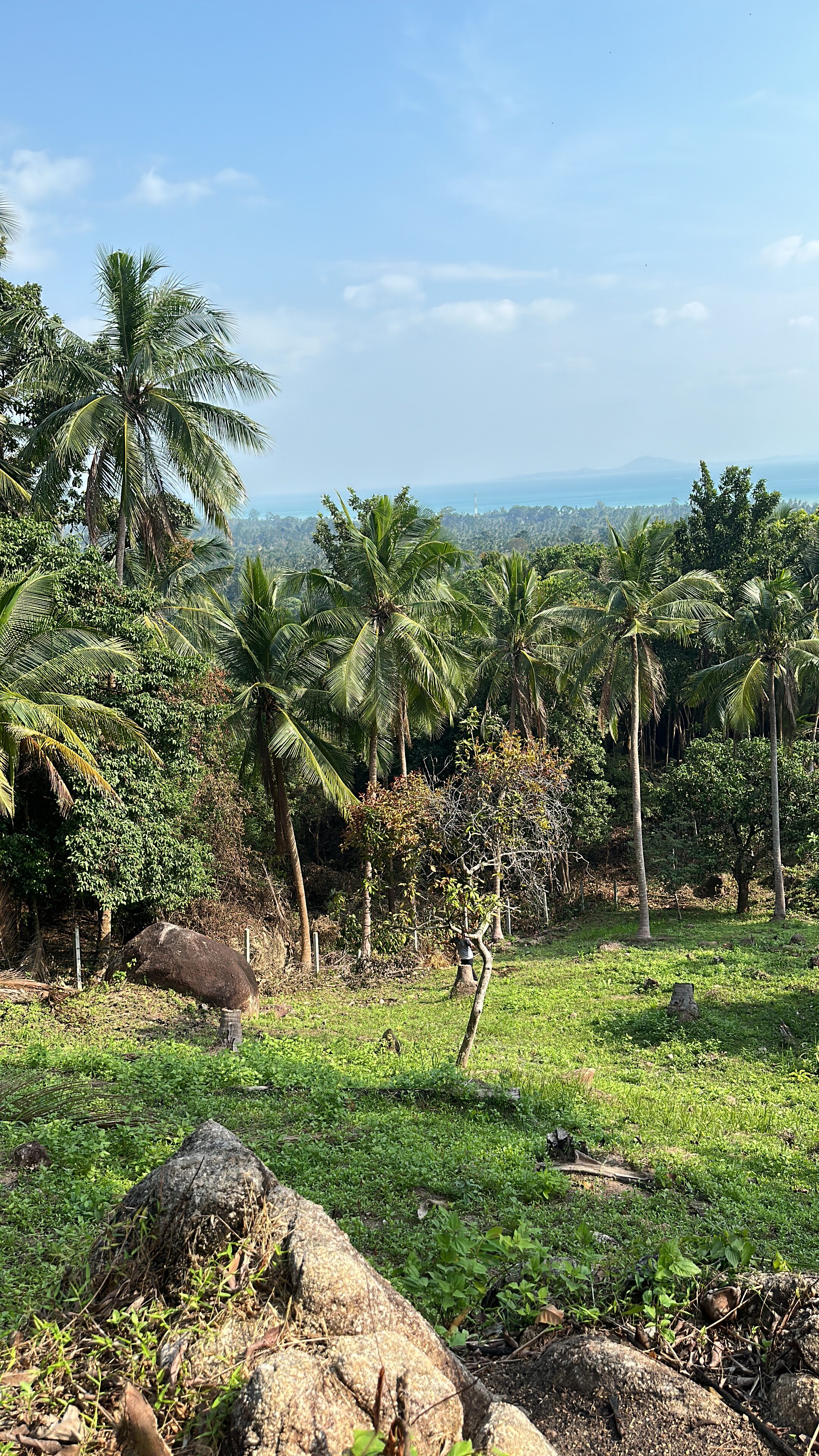 LAND for SALE with beautiful ocean view KOH PHANGAN THAILAND