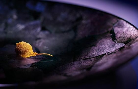 Ultraviolet by Paul Pairet