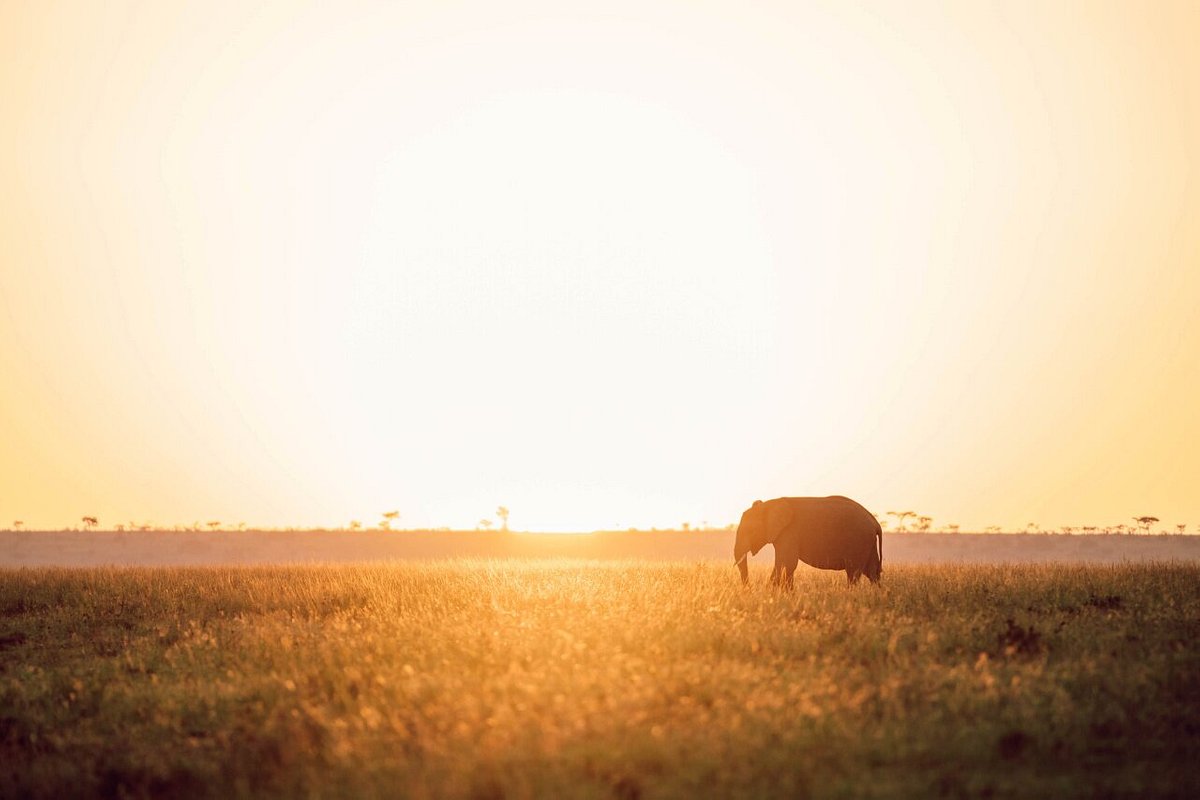 Olare Mara Kempinski Masai Mara