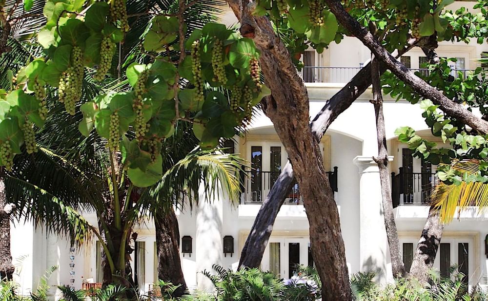 Casa Colonial Beach &amp; Spa