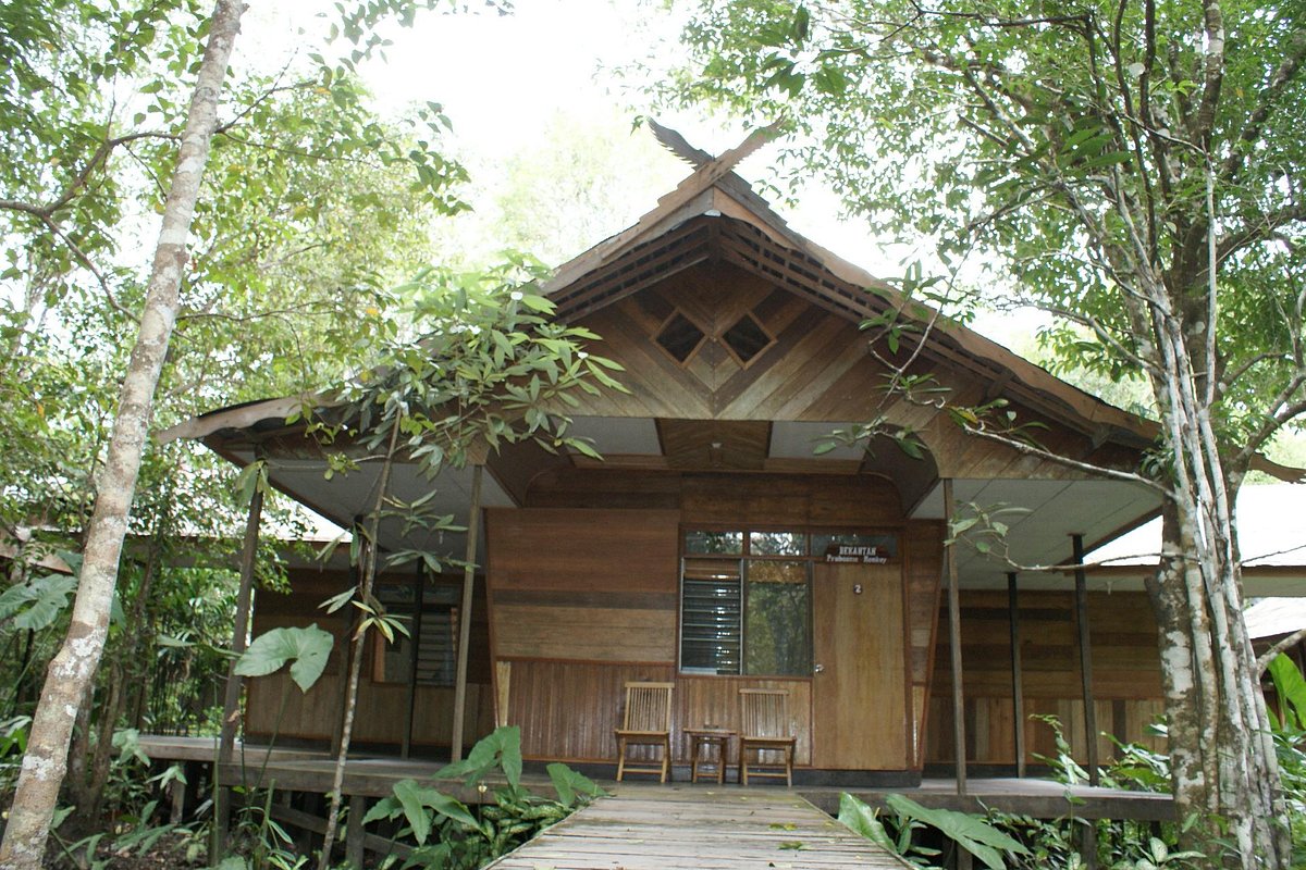 Rimba Orangutan Eco Lodge