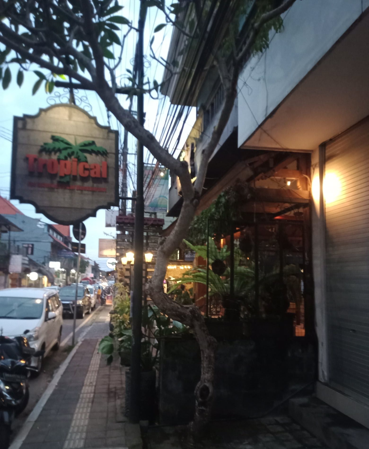 Tropical Restaurant Ubud