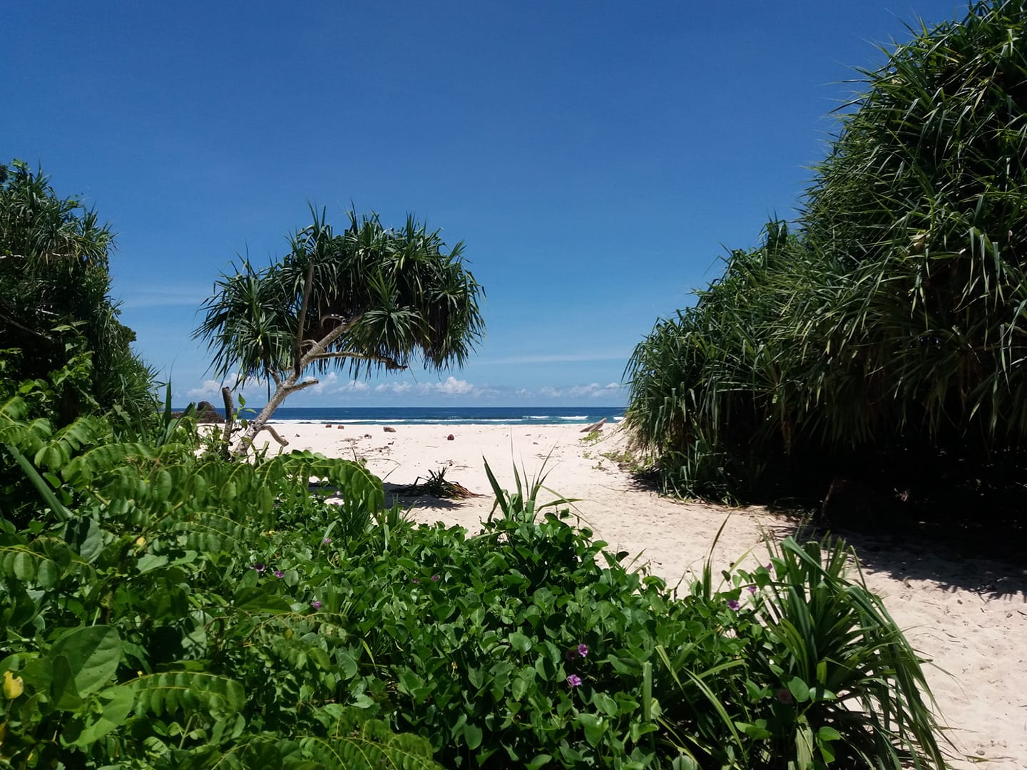 Sumba Nautil Resort