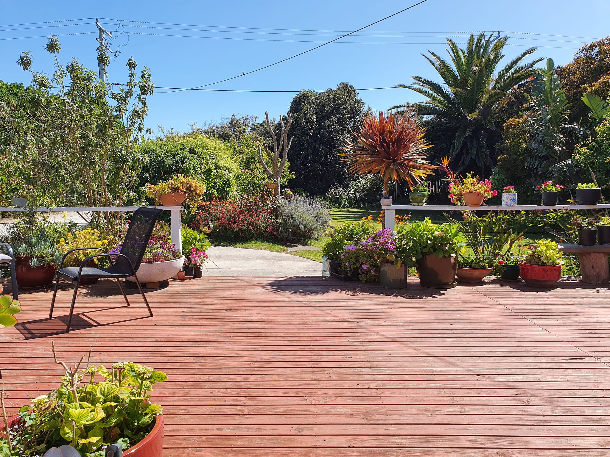 King Island Green Ponds Guest House and Green Ponds Cottage B &amp; B