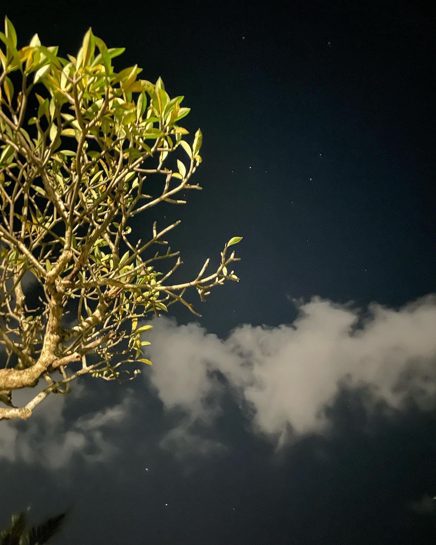 Kendi Kuning Bar &amp; Restaurant