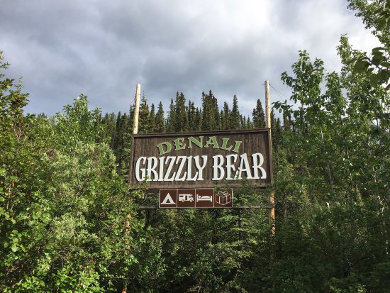 Denali Grizzly Bear Resort