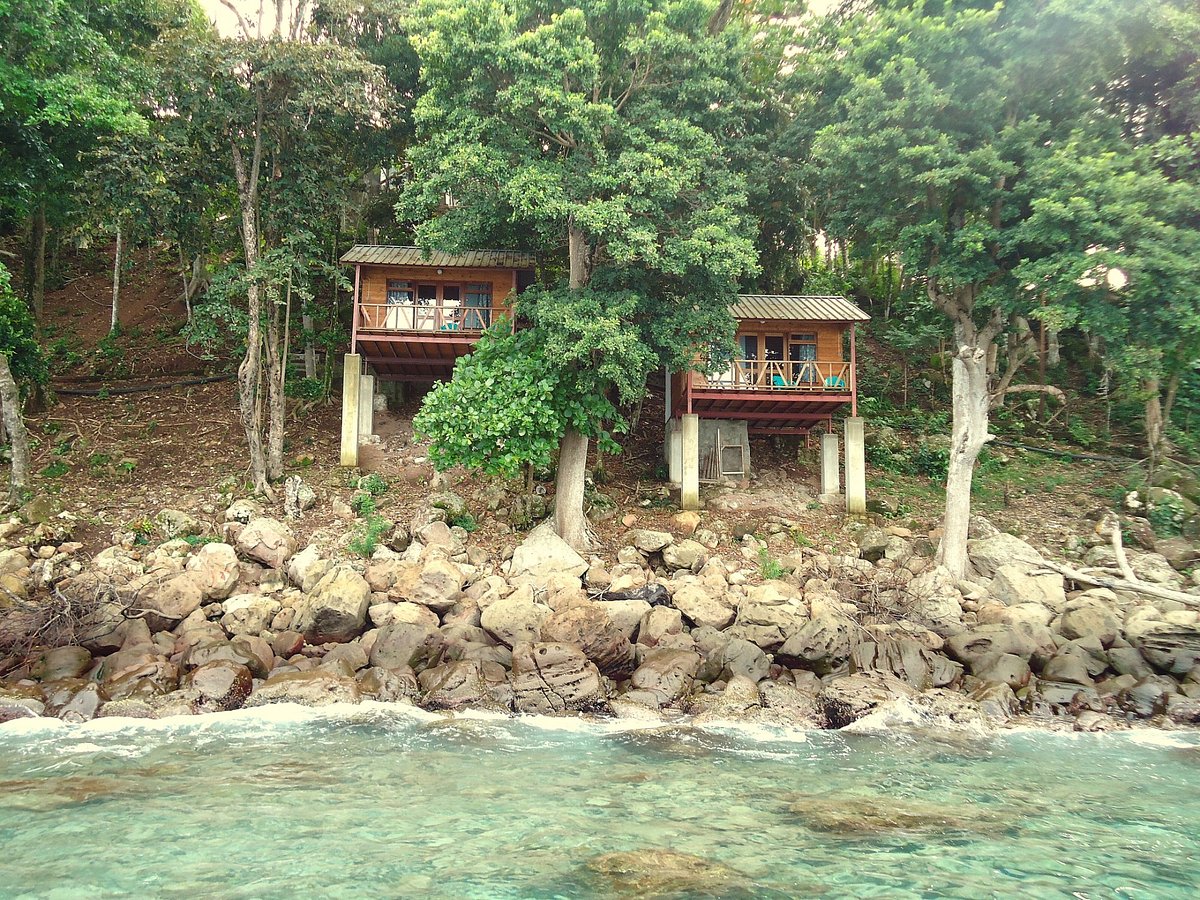 Treetop Guesthouse and Bungalows