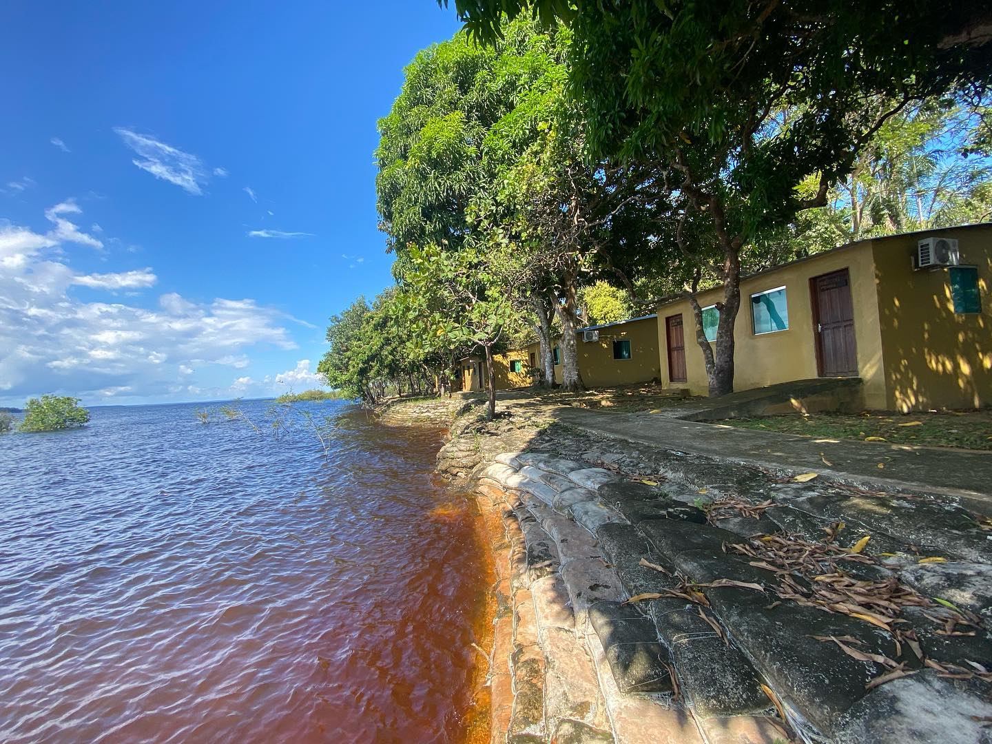 Anaconda Amazon Island
