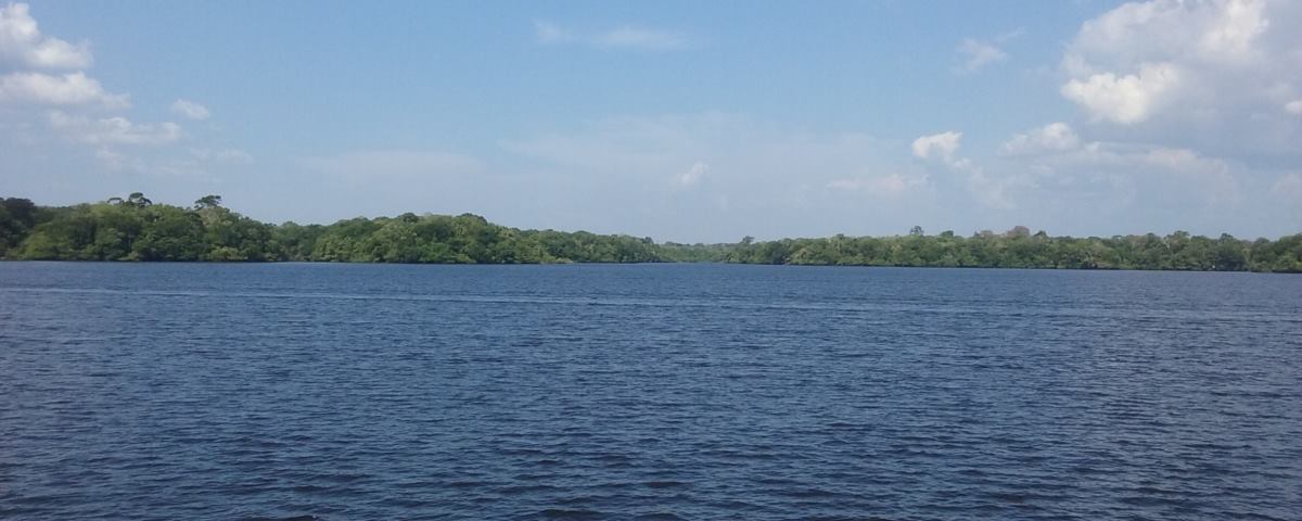 Alligator Lodge Manaus