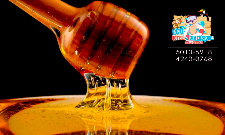 Echodi San José Roman