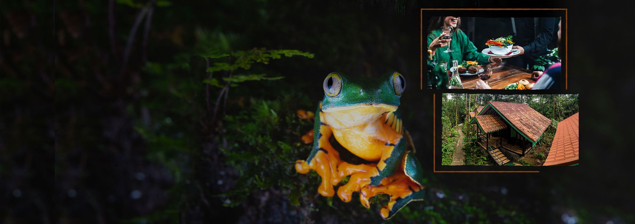 Tapir Lodge - Hostel