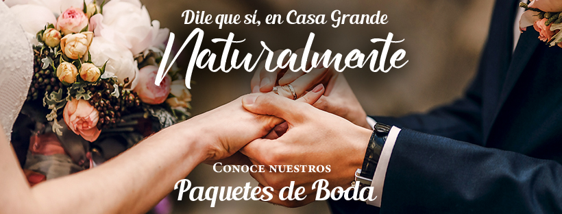 Hotel Casa Grande Bambito