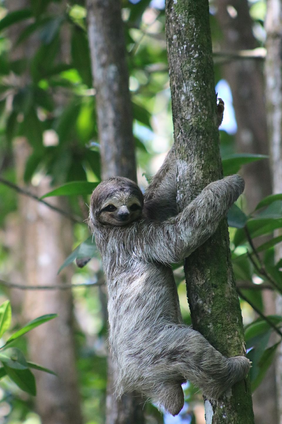 The Lost and Found Hostel