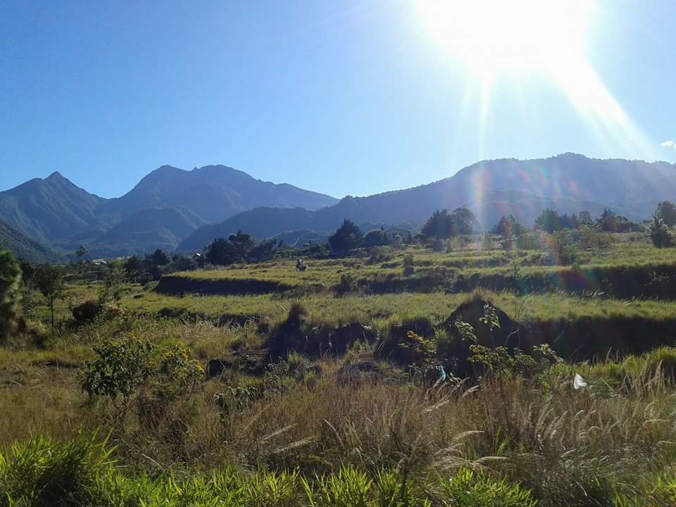 Bambito's Café &amp; Hostel