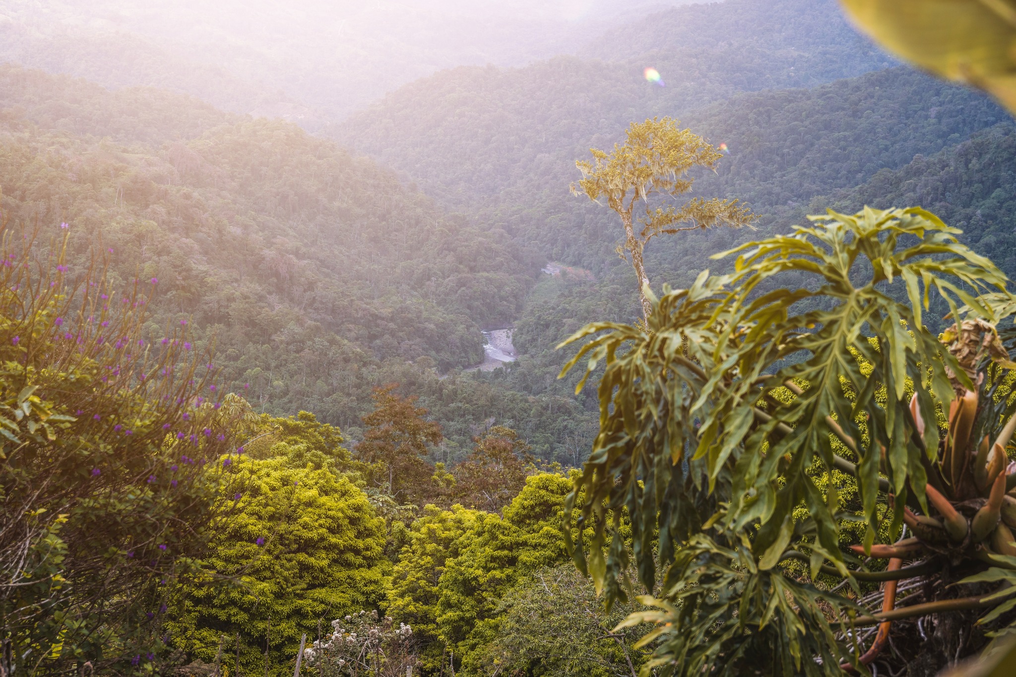 Pacuare Mountain Lodge