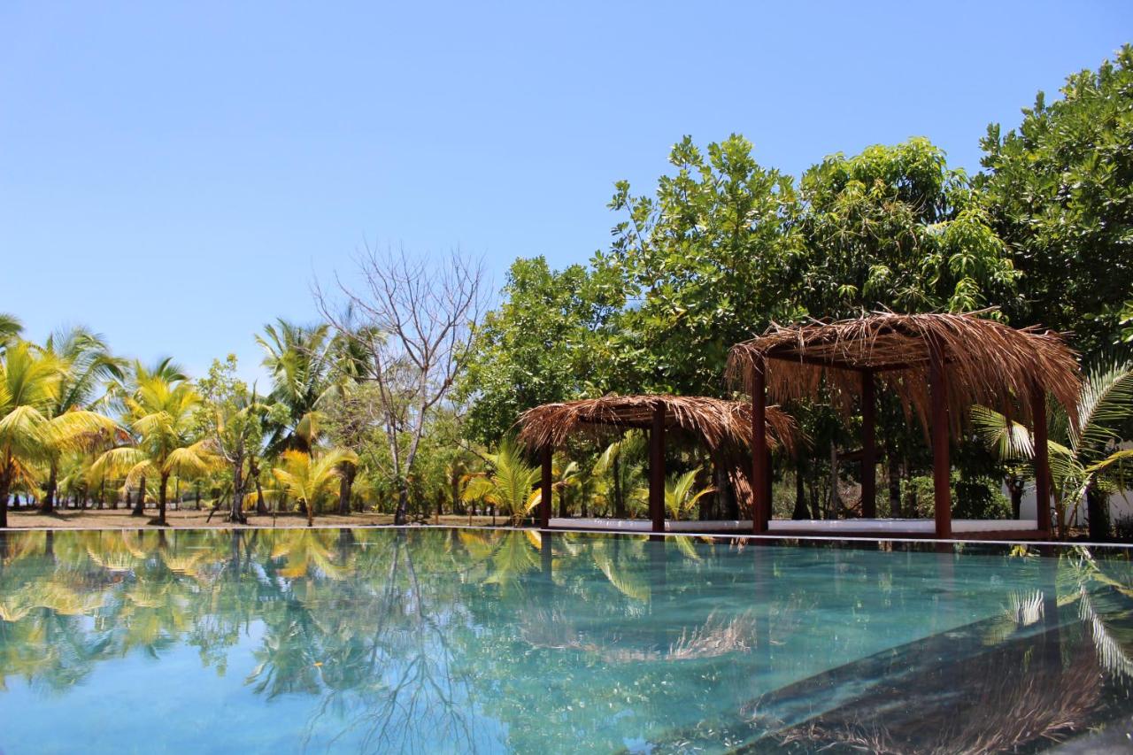 Hotel Hibiscus Garden/Jardin de Papos