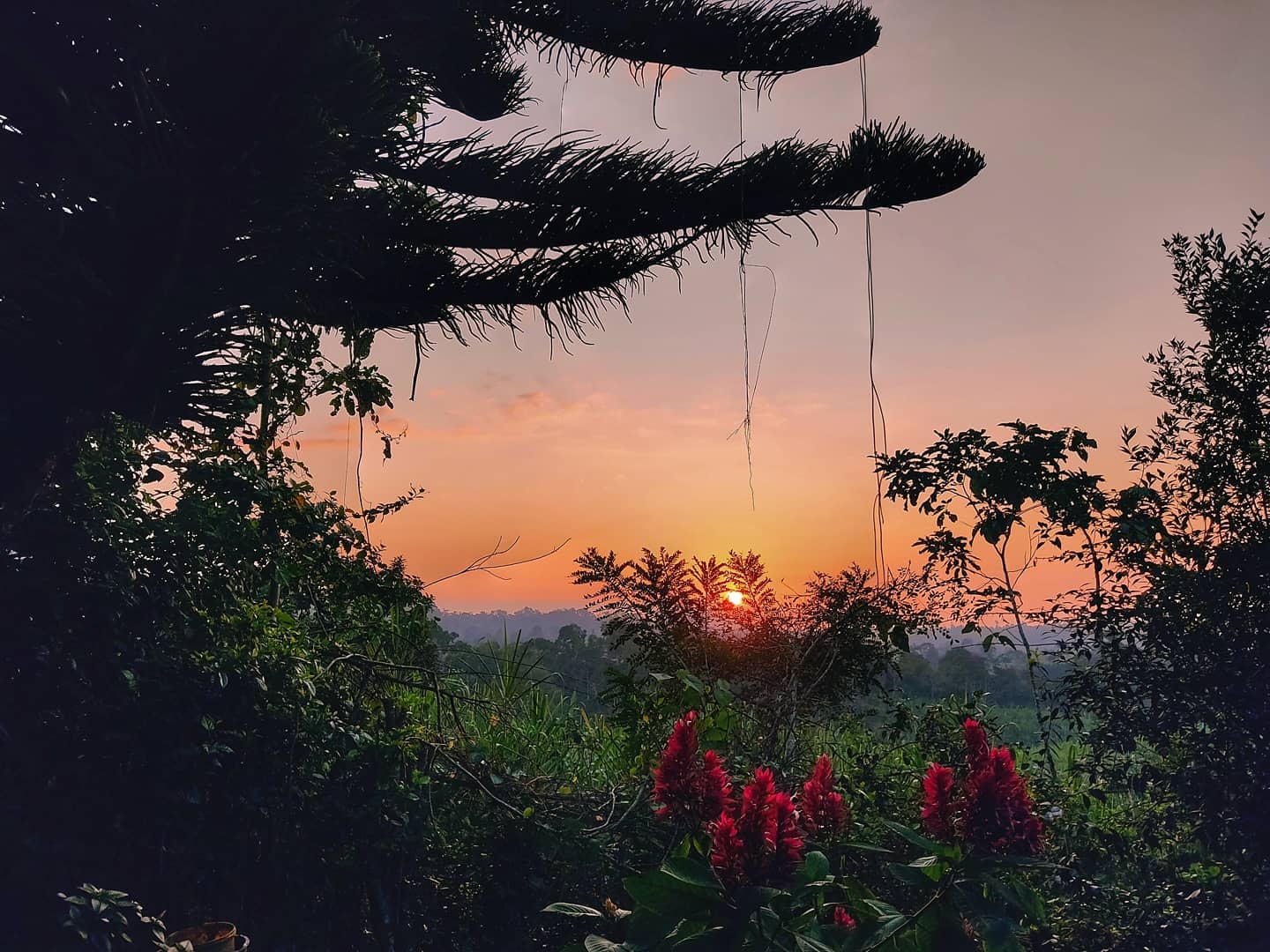 Hostería BosqueFrut