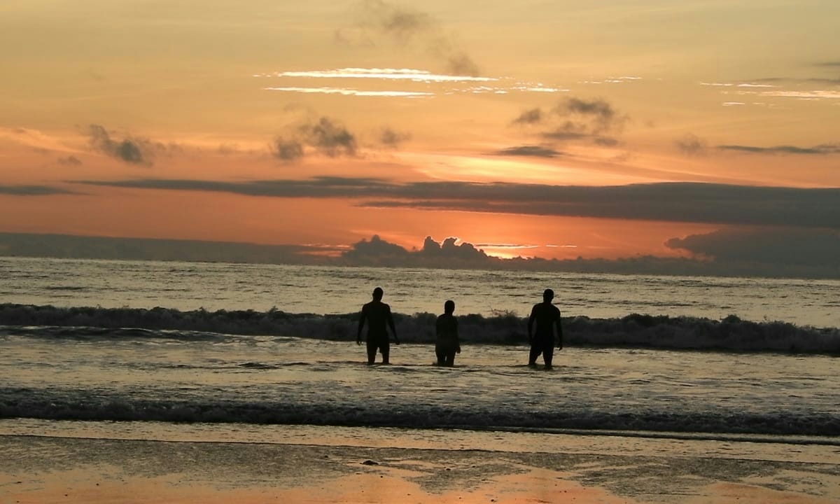 Hotel palmas del pacífico