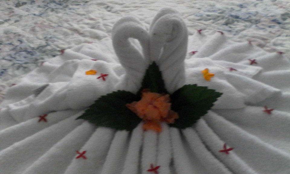 VanVilla Guest House