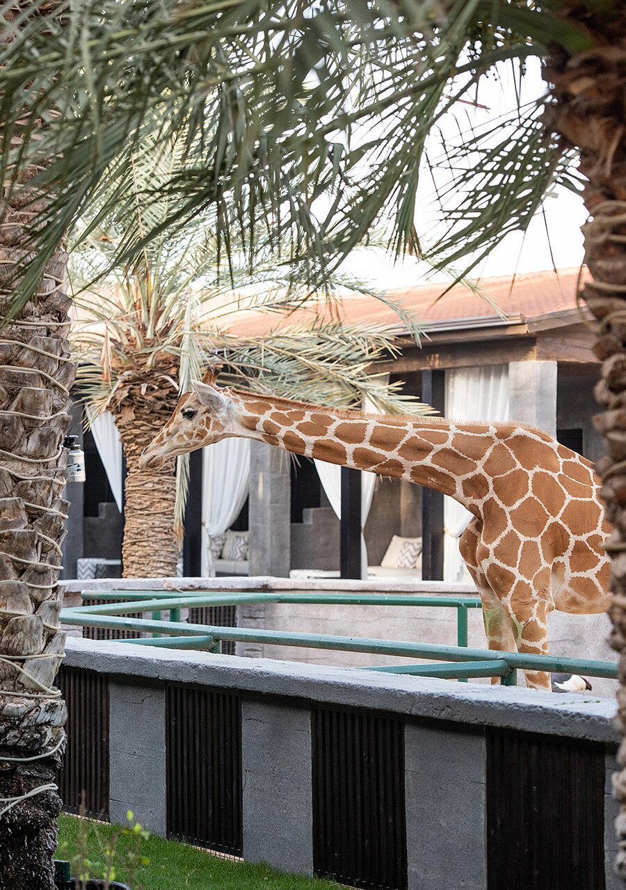 Emirates Park Zoo &amp; Resort