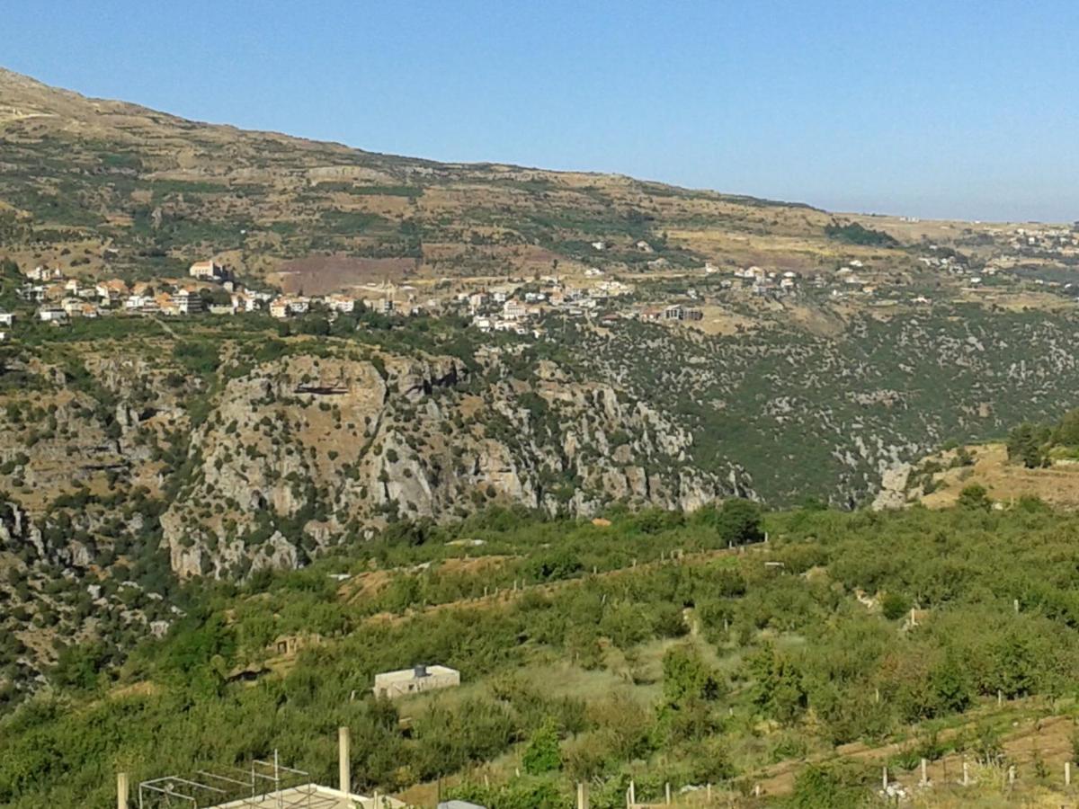 Bauhaus Chalets &amp; Motel